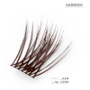 Harmony – Full-Lash-Line-Look